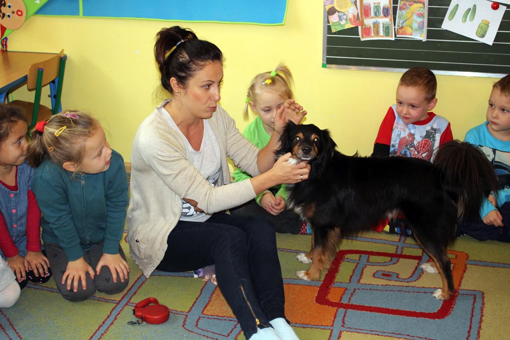 W Kryształkach i Gąsieniczkach odwiedziny psa Amika Natalii i Patrycji w ramach projektu „Odwiedź przedszkole z pupilem”